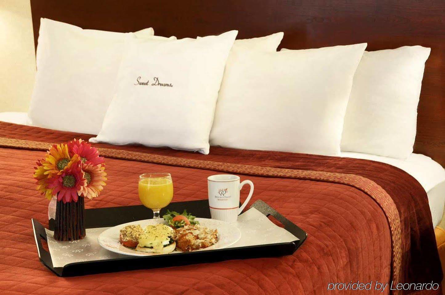 Doubletree By Hilton Johnson City Rum bild